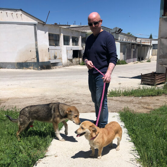 Steve Bibevski Our Work