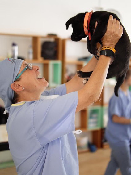 Lynel J. Tocci DVM, DACVECC BS, MT(ASCP)SBB